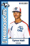 2024 Victoria HarbourCats Baseball Card Set